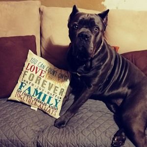 Meet your Posher, Crystal